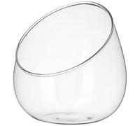 YARNOW Micro-Paysage Succulente en Bouteille Écologique en Verre Transparent Ouverture Inclinée, Décoration Naturelle pour Bureau, Maison et Jardin, Terrarium Original