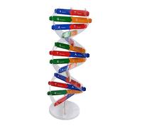 YARNOW Modèle De DNA Auto-assemblable pour Garçon Fille Outil Éducatif Scientifique Aide à Enseignement Et Génétique Jouet Didactique pour Écoles Et Études Médicales