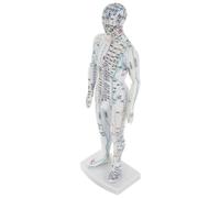 YARNOW Modèle de Simulation Corporelle Acupuncture Traditionnelle Chinoise Modèle Masculin Points D'acupuncture Clairement Étiquetés Matériaux Solide Usage Pédagogique Formation