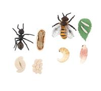 YARNOW Modèles Éducatifs du Cycle de Vie des Fourmis Abeilles, Figurines en Plastique Solide, Kit Scientifique Pédagogique pour Garçon et Filles, Décoration Bureau et Chambre, Jeu