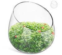 YARNOW Terrarium en Verre Biseauté pour Plantes D’intérieur, Pot de Fleurs Diamètre 12 Cm, Jardinière en Verre Transparent pour Micro-Paysage, Mousse et Succulentes, Décoration Bureau