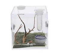 YARNOW Transparent Boîte Habitat pour Araignées Sauteuses Terrarium Insecte pour Reptiles Et Insectes Caisse De Reproduction Durable Et Respirante