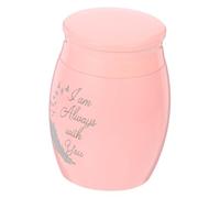 YARNOW Urne pour Animaux Aluminium Corrosion Petite et Portable Cendrier Funéraire pour Cendres de Chat et Chien Conteneur Crémation Durable et