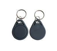 YARONGTECH Porte-clés RFID 13,56MHz ISO14443A Gris de Proximité ABS IC NFC Tags 1K Étiquette Accès pour Contrôler (Lot de 100)