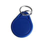 YARONGTECH® Porte-clés RFID NFC Puce M1 1K ISO 14443A 13,56 MHz, Badge en ABS pour système de contrôle d'accès, Lot de 100 pièces