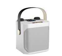 Yarryuter Haut-Parleur Bluetooth Karaoké Haute Puissance Portable Stéréo 360 Surround Caisson de Basses sans Étanche avec Double Microphone-B