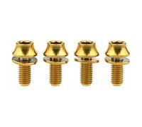 Yaruijia Lot de 4 boulons en titane avec rondelle Ti M5 x 12 mm pour porte-bidon de vélo Doré