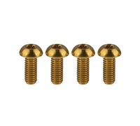 Yaruijia Lot de 4 vis en titane pour porte-bidon M5 x 12 mm (doré)