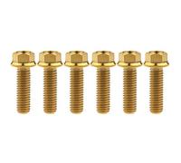 Yaruijia Lot de 6 boulons en titane M6 x 10 15 20 25 30 35 40 45 50 55 60 65 mm à petite bride hexagonale Pas de 1,0 mm (M6 x 25 mm, doré)