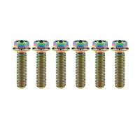 Yaruijia Lot de 6 boulons en titane M8 x 15 20 25 30 35 40 45 50 55 60 65 mm Vis à tête hexagonale à petite bride pour pièces de moto 1,25 mm (M8 x 30 mm, arc-en-ciel)