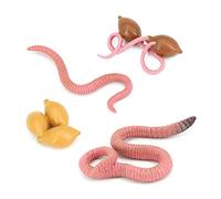 yasoe 4 Pièces Simulation Ver de Terre Modèle de Croissance Cycle de Vie Animale Modèle Simulation Croissance Science Educatif