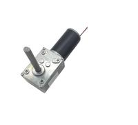 YAVCBOPM Moteur à réduction inversée 5840-31ZY 12V DC, moteur à arbre d'extension à verrouillage automatique, moteurs à engrenages à vis sans fin 24V, couple élevé(Package D,80rpm,12V)