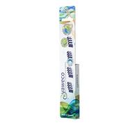yaweco - Lot de 4 têtes de brosse de rechange moyennes - 1 paquet
