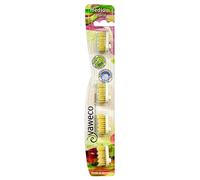 Yaweco - Recharge pour brosse à dents naturelle moyenne - 500 g