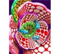 Yayoi Kusama: I Spend Each Day Embracing Flowers