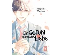 Yayoi Okada-Willmann Megumi Morino Ein Gefühl namens Liebe 16 (Poche)