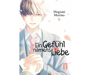 Yayoi Okada-Willmann Megumi Morino Ein Gefühl namens Liebe 16 (Poche)