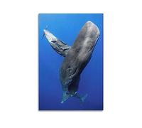 YBHF Poster avec cachalot - Impression murale rétro esthétique - 50 x 75 cm - Sans cadre