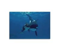 YBHF Poster d'animaux de la vie marine - Orque - Décoration murale rétro - Décoration de chambre ou de bureau - 50 x 75 cm - Style sans cadre