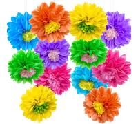 YBwanli 12 pièces pompon papier de soie/décorations de fête mariage champetre/summer hawaienne party decoration/anniversaire Ensemble de baptême décoré à thème coloré