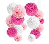 YBwanli 24 pièces Rose pompon papier de soie, lanterne papier, pour Deco Mariage, Octobre Rose Decoration, EVJF, fêtes Anniversaire fille, Bapteme