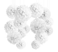 YBwanli 24pcs Pompon Blanc,pompon papier de soie， Deco Mariage,Decoration Chambre Fille, Lanterne Papier,Decoration Bapteme,Decoration Bapteme Fille
