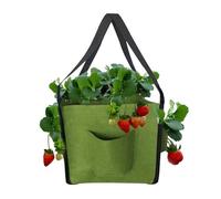 ycezw Sacs de culture en tissu 5 gallons avec poches latérales : pots de plantation Fraise respirants pour jardinage extérieur | Conteneurs légumes, fleurs, herbes, parterres de jardin, patios