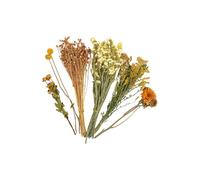 YCHUCH Décoration d'habitat de fleurs séchées sûres - Literie naturelle pour cage de hamster avec bouquets de fleurs séchées colorées pour l'habitat de hamster