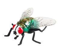 YCHUCH Modèle Gogga réaliste pour les expositions scientifiques et les salles de classe Bugs Modèle Gogga pour l'affichage et la modélisation d'insectes