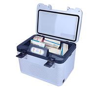 Yclty 12/19L Profession Insuline Glacière Voyage Médecine Congélateur Mini Frigo Réfrigérateur Cas Diabétique Insuline Glacière Boîte Soutien Maison Prise de Voiture