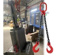 YCNLYSSR Palan à chaîne pour Moteur, Double Brin avec Crochets d'élingue, chaîne de lestage pour manutention de Charges Lourdes, chaînes suspendues en Acier allié G80 (2 tonnes - L 0,5 m (1 3/5 pi))