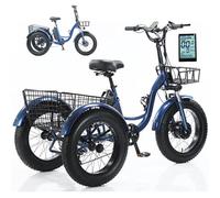 YCNLYSSR Tricycle électrique à Gros pneus avec Assistance au pédalage, écran LCD et Panier de Chargement pour Adultes, Charge maximale 150 kg, autonomie de 30 à 40 km