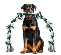 Ycozy Corde de Jouet Chien Durable 100cm Grand 6-Nœuds Corde Chien 100% Coton Jouets à Mâcher Chiens Jouet Interactif pour Nettoyage des Dents