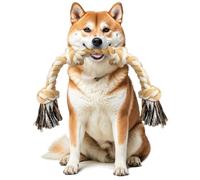 Ycozy Corde de Jouet Chien Durable 66cm/4 Nœuds Corde Chien Moyenne/Petite 100% Coton Jouets à Mâcher Chiots Jouet Interactif pour Nettoyage des Dents