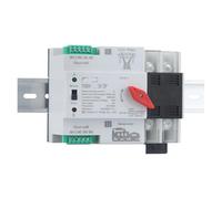 YCQ4-100R 2P/4P rail ATS double puissance commutateur de transfert automatique 63A/100A AC230V dispositif de commutation d'alimentation à découpage(2P,100A)
