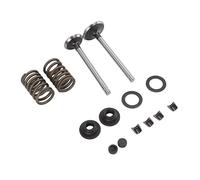 Yctze Ensemble de Pièces de Soupape de Microller - Clips de Verrouillage de Lave-Linge à Ressort en Fer Résistant à l'usure pour Le Générateur, Les Tondeuses à Gazon et Les Machines de Jardin