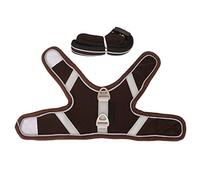 Yctze Ensemble Harnais et Laisse en Maille pour Chat, Veste de Marche Réfléchissante Anti-Fuite pour Chatons, Idéale pour Les Aventures en Plein Air (M)