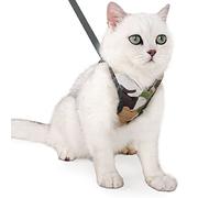 Yctze Ensemble Harnais et Laisse Réglables Anti-Fuite pour Animaux de Compagnie - Veste de Marche Confortable et Respirante, Jogging, Entraînement et Aventures - Comprend Un Gilet et Une Corde de (S)