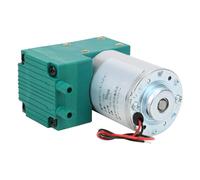 Yctze Mini Pompe à Vide - Pompe à Vide à Membrane à Faible Bruit avec une capacité de 10 L/min, Nominale DC12 V/DC24 V/AC220, Applications de -65~150 kPa. (DC12V)