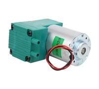 Yctze Mini Pompe à Vide - Pompe à Vide à Membrane à Faible Bruit avec une capacité de 10 L/min, Nominale DC12 V/DC24 V/AC220, Applications de -65~150 kPa. (DC24V)