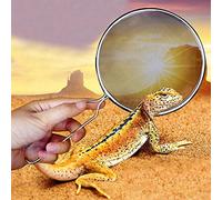 Yctze Pelle de Nettoyage de Litière pour Animaux de Compagnie en Acier Inoxydable - Pelle à Excréments Légère pour Tortue, Lézard, Araignée et Serpent - à Sable Antirouille avec Poignée