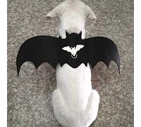 Yctze Pet Cat Costume Costume Wings Bat Walking Harness Gite Gest Coffre Socle avec Laisse - Halloween & Christmas sur Le Thème des Vêtements pour Animaux de Compagnie (M)