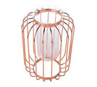 Yctze Vase en Fer forgé en Forme de Lanterne Nordique avec Insert en Verre - Support de Fleur de Table élégant pour la Décoration de la Maison et du Mariage (Or Rose)