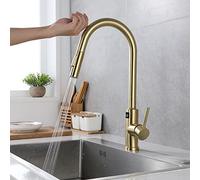 YCVAWEOD Appuyez sur la Cuisine du Robinet avec pulvérisateur, Tirez la Cuisine de Cuisine Affichage de température numérique, cuivre en Laiton de lavabo à la Cuisine intellige LWX