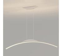YCVAWEOD Lustre Lumière, Plafonnier Simple Long Arc Pendentif LED Dimmable Luxueux Art Ligne en Métal Salle À Manger Salon Décoration Lampe Suspendue Éclairage Réglable Fixt LWX