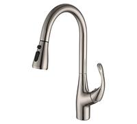 YCVAWEOD Robinet de Cuisine avec pulvérisateur Pull Down Sortez des robinets de Cuisine LWX
