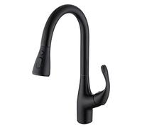 YCVAWEOD Robinet de Cuisine avec pulvérisateur Pull Down Sortez des robinets de Cuisine LWX