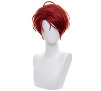 ydound Anime Coser Wig AI Ohto Wig, Wonder Oeuf Priority AI Ohto Cosplay Perruque avec Perruque, Perruque Courte Cosplay Blue Anime ( Color : Momoe Sawaki )