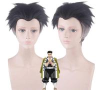 ydound Anime Coser Wig Démon Slayer kimetsu no Yaiba gyoumei himejima kyoumei Courte Perruque Cosplay Costume résistant Thermique résistant aux Cheveux synthétiques Hommes Perruques
