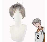 ydound Anime Coser Wig Haikyuu! Sugawara Koushi Unisexe Courte Gris Cosplay Perruques Shaggy Shaggy Femmes Mens Homme Mâle Homme Costume Perruque de Cheveux Synthétique résistant à la Chaleur
